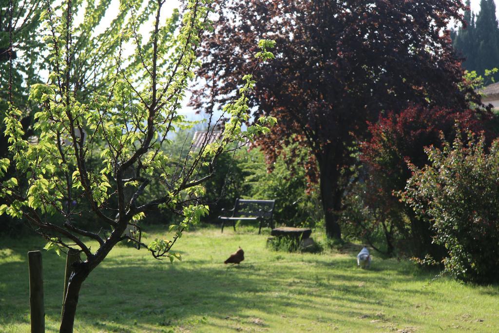 Villa Hanna Combas  Exteriér fotografie